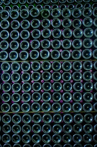Many bottles of champagne sparkling wine. Visit of undergrounds caves, traditional making of champagne wine in Cote des Bar, Aube, south of Champagne, France