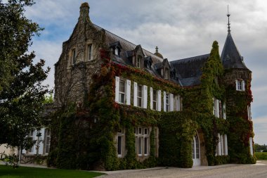 Haut-Medoc 'taki tipik Fransız şarap sahasının ya da şatosunun kırmızı şarap üretim bölgesi, Margaux köyü, Bordeaux, Gironde Estuary, Fransa' nın sol kıyısı