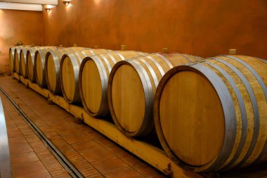 Chateauneuf-du-Pape şarabının yıllandırılması için fıçılarla dolu yeraltı şarap mahzenleri Fransa 'da yeşil üzüm bağlarıyla büyük çakıl taşları kazıkları ve kumtaşı toprakları üzerinde köy yapıyorlar..