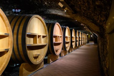 Chateauneuf-du-Pape şarabının yıllandırılması için fıçılarla dolu yeraltı şarap mahzenleri Fransa 'da yeşil üzüm bağlarıyla büyük çakıl taşları kazıkları ve kumtaşı toprakları üzerinde köy yapıyorlar..