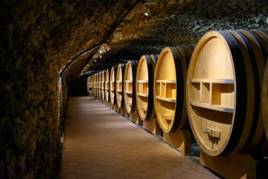 Chateauneuf-du-Pape şarabının yıllandırılması için fıçılarla dolu yeraltı şarap mahzenleri Fransa 'da yeşil üzüm bağlarıyla büyük çakıl taşları kazıkları ve kumtaşı toprakları üzerinde köy yapıyorlar..