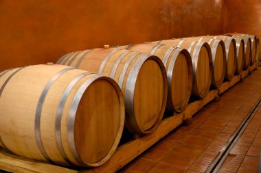 Chateauneuf-du-Pape şarabının yıllandırılması için fıçılarla dolu yeraltı şarap mahzenleri Fransa 'da yeşil üzüm bağlarıyla büyük çakıl taşları kazıkları ve kumtaşı toprakları üzerinde köy yapıyorlar..