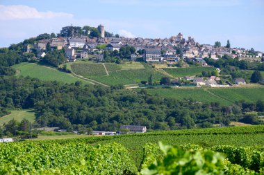 Sancerre şaraplarının etrafındaki yeşil üzüm bağları, farklı topraklarda tepelerde sıralanmış sauvignon beyaz üzümleri, Cher, Loire vadisi, Fransa