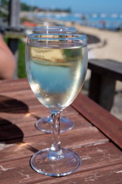 Güneşli bir günde Fransa 'nın Bordeaux kentindeki Arcachon Körfezi' nin tekneleri ve suları manzaralı çiftlik kafesinde beyaz şarap içmek.