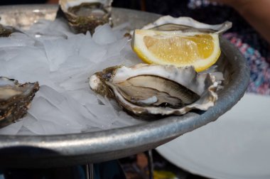 Güneşli bir günde Fransa 'nın Bordeaux, Fransa' da Arcachon Körfezi 'nin tekne ve suları manzaralı çiftlik kafesinde, sitronlu taze canlı istiridye yemek.