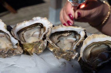 Güneşli bir günde Fransa 'nın Bordeaux şehrinde Arcachon Körfezi, Kaptan Ferret yarımadasının tekne ve sularını gören istiridye ve beyaz şaraplı taze canlı istiridye yemek.
