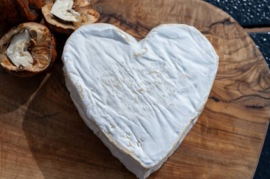 Peynir koleksiyonu, Normandiya bölgesinden Fransız peyniri, çiftlik dükkanından kalp şeklinde neufchatel.