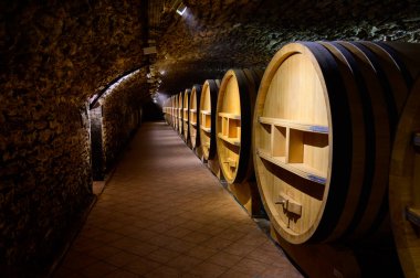 Chateauneuf-du-Pape şarabının yıllandırılması için fıçılarla dolu yeraltı şarap mahzenleri Fransa 'da yeşil üzüm bağlarıyla büyük çakıl taşları kazıkları ve kumtaşı toprakları üzerinde köy yapıyorlar..