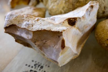 Pouilly-Fume adreslerindeki mahzenlerde şarap turu, Pouilly-Fume adreslerinin toprakları, çakıl taşları, kil taşı, caillottes kireçtaşı fosilleri, Pouilly-sur-Loire, Fransa