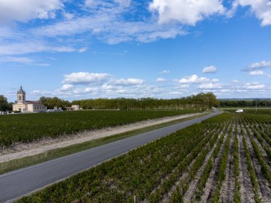 Fransa 'nın Bordeaux, Margaux şehrinde bulunan Gironde Estuary' nin sol kıyısında kırmızı üzümlü kırmızı şarap üreten Haut-Medoc üzümlü yeşil üzüm bağlarıyla hava manzarası.