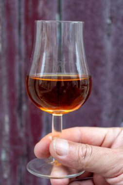 Varillerde yıllanmış konyak, içki ve şehirdeki eski caddeleri ve evleri görmek konyak, Grand Champagne, Charente, güçlü alkol damıtma endüstrisi, Fransa