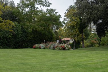 Cognac beyaz şarap bölgesindeki eski caddelerin ve evlerin manzarası, Charente bölgesi, güçlü alkol damıtma endüstrisi, Grand Champagne, Fransa