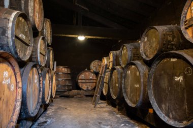 Eski koyu Fransız meşe fıçılarında konyak ruhunun yaşlanma süreci içki imalathanesinde, konyak beyaz şarap bölgesinde, Charente, Segonzac, Grand Champagne, Fransa