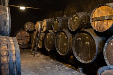 Eski koyu Fransız meşe fıçılarında konyak ruhunun yaşlanma süreci içki imalathanesinde, konyak beyaz şarap bölgesinde, Charente, Segonzac, Grand Champagne, Fransa