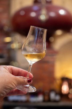 Eski koyu Fransız meşe fıçılarında yıllanmış konyak tadı içki imalathanesinde, konyak beyaz şarap bölgesinde Charente, Segonzac, Grand Champagne, Fransa