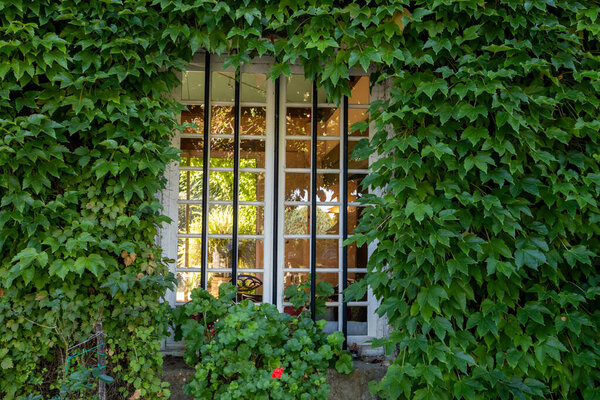 Вид на старинные винодельческие владения Сотерна в деревне Барсак, затронутый Botrytis cinerea благородное гниение, производство сладкого десерта Sauternes вина в Бордо, Франция