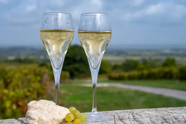 Avize 'deki Chardonnay üzüm bağlarında köpüklü beyaz şarap tatmak, Ay Grand Cru şarap üreticisi küçük bir köy, Cote des Blancs, Champagne, France