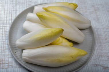 Taze organik hindiba salatası yenmeye hazır Belçika ve Hollanda 'da geleneksel kış yemekleri