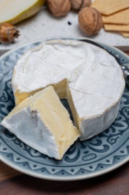 Fransız peyniri, orijinal Camembert de Normandie peyniri, beyaz küfle kaplayın.
