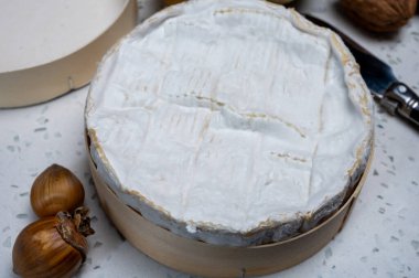 Fransız peyniri, orijinal Camembert de Normandie peyniri, beyaz küfle kaplayın.