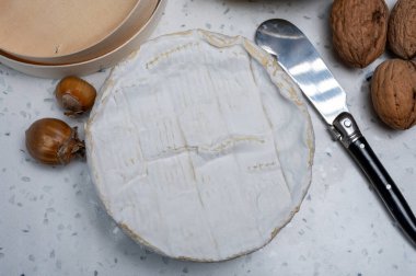 Fransız peyniri, orijinal Camembert de Normandie peyniri, beyaz küfle kaplayın.