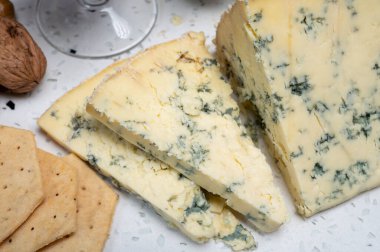 Peynir koleksiyonu, İngiliz ineği sütü. Yarı yumuşak, eski püskü mavi peynir. Kapatın.