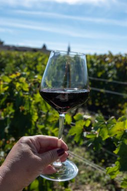 Kırmızı Bordeaux şarabı, Merlot ya da Cabernet Sauvignon şarabı Pomerol, Saint-Emilion şarap üretim bölgesi, Fransa, Bordeaux 'daki Cru sınıfı üzüm bağlarında kırmızı şarap tatma