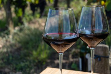 Kırmızı Bordeaux şarabı, Merlot ya da Cabernet Sauvignon şarabı Pomerol, Saint-Emilion şarap üretim bölgesi, Fransa, Bordeaux 'daki Cru sınıfı üzüm bağlarında kırmızı şarap tatma