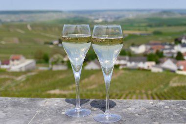 Büyük cru tatmak köpüklü beyaz şarap şampanya ile yaz manzaralı evler ve üzüm bağları büyük cru şarap üreticisi küçük köy Cramant, Champagne, France