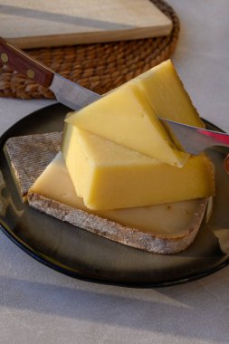 Peynir koleksiyonu, Fransız peyniri kontu, Beaufort, yakın çekim.