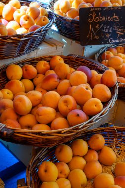 Fransa 'nın Provence şehrinde yeni olgun, sarı-kırmızı kayısı hasadı meyveleri. İngilizce çeviri: Cavaillon yapımcısından kayısı.