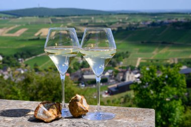 Sancerre Chavignol üzüm bağlarından alınmış beyaz şarap kadehleri ve Sancerre köyü yakınlarındaki çakıl taşı toprağı örneği, Cher, Loire vadisi, Fransa.