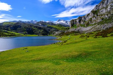 Lagos de Covadonga Dağı ve yeşil çayır, Picos de Europa Dağları, Asturias, İspanya 'nın kuzeyi