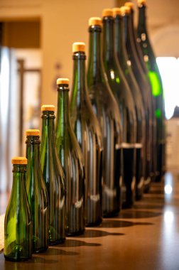 Farklı boyutlarda şampanya şişeleri, geleneksel şampanya yapımı Chardonnay ve pinor noir üzümleri, Epernay, Champagne, France