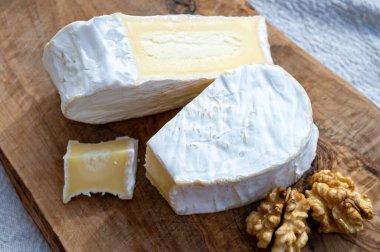 Peynir koleksiyonu, Normandiya bölgesinden Fransız peyniri, çiftlik dükkanından kalp şeklinde neufchatel.