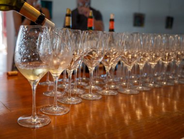 Şarap tatma yeri, Aziz Estephe köyü, Bordeaux 'daki Haut-Medoc üzüm bağları Gironde Estuary, Fransa' nın sol kıyısı, Bordeaux 'da şarap turu, seyahat yeri.