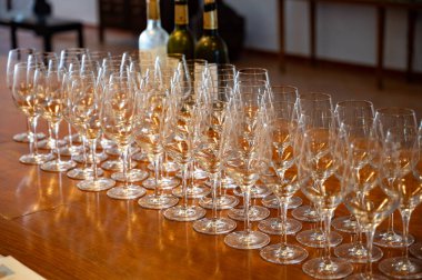 Şarap tatma yeri, Aziz Estephe köyü, Bordeaux 'daki Haut-Medoc üzüm bağları Gironde Estuary, Fransa' nın sol kıyısı, Bordeaux 'da şarap turu, seyahat yeri.