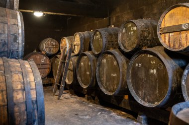 Eski koyu Fransız meşe fıçılarında konyak ruhunun yaşlanma süreci içki imalathanesinde, konyak beyaz şarap bölgesinde, Charente, Segonzac, Grand Champagne, Fransa
