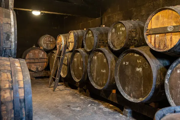蒸留所 コニャックの白ワイン地域 シャレンテ セゴンザック グランドシャンパン フランスでセラーで古いダークフランスのオーク樽でコニャック精神の老化プロセス ストック写真