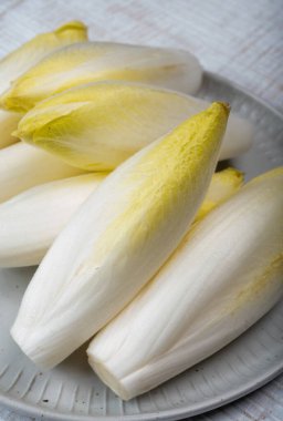 Taze organik hindiba salatası yenmeye hazır Belçika ve Hollanda 'da geleneksel kış yemekleri