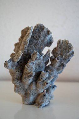 Sert mavi ve koyu mercan taşları, sualtı doğa arka planı...