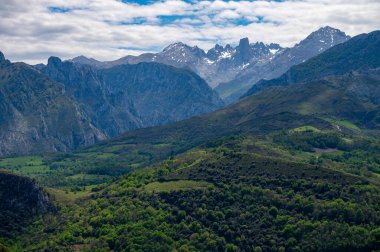 Picos de Europa 'nın Macizo Orta Bölgesi' nde yer alan Paleozoik Çağ 'dan kalma kireçtaşı zirvesi Naranjo de Bulnes veya Picu Urriellu' nun panoramik görüntüsü, Kuzey İspanya 'nın Asturias sıradağları