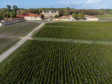 Fransa 'nın Bordeaux, Margaux şehrinde bulunan Gironde Estuary' nin sol kıyısında kırmızı üzümlü kırmızı şarap üreten Haut-Medoc üzümlü yeşil üzüm bağlarıyla hava manzarası.