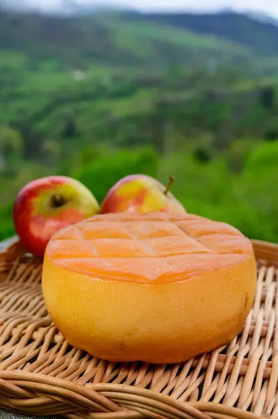 Spanish hard smoked cow cheese from Pria village, Asturias, served outdoor with apples and view on green slopes of Picos de Europa mountains