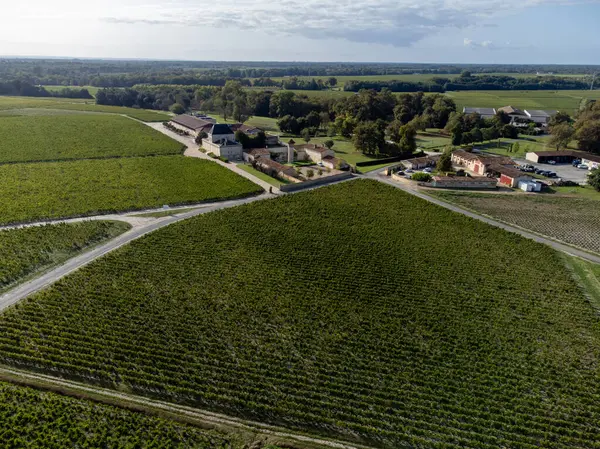 Fransa 'nın Bordeaux, Margaux şehrinde bulunan Gironde Estuary' nin sol kıyısında kırmızı üzümlü kırmızı şarap üreten Haut-Medoc üzümlü yeşil üzüm bağlarıyla hava manzarası.