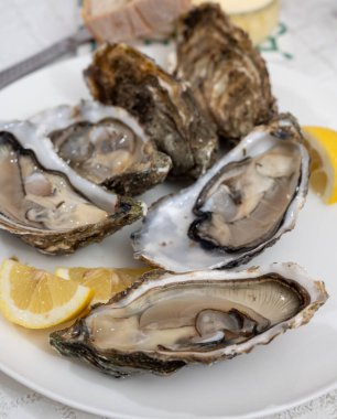 Canlı canlı taze Fransız, Hollanda, Pasifik ya da Japon istiridye yumuşakçaları, numara 1, taze limon ve çiğ deniz yiyeceği ile servis edilir.