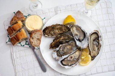 Canlı canlı taze Fransız, Hollanda, Pasifik ya da Japon istiridye yumuşakçaları, numara 1, taze limon ve çiğ deniz yiyeceği ile servis edilir.