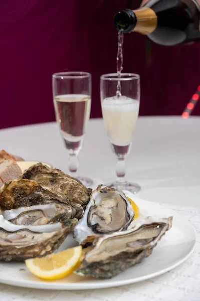 Fresh big french, dutch, pacific or japanese oysters molluscs, size number 1, served with champagne dry wine