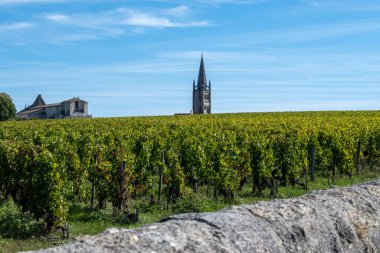 St. Emilion kasabası yakınlarındaki üzüm bağları, Saint-Emilion şarap üretim bölgesi, Fransa, Bordeaux sonbaharda kırmızı Bordeaux şarabı, Merlot veya Cabernet Sauvignon üzümleri, cru sınıfı üzüm bağları