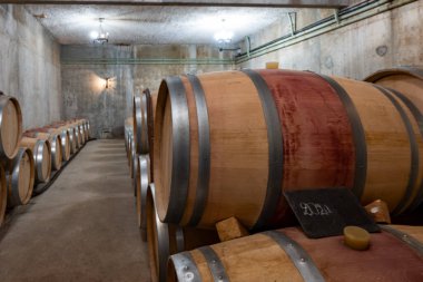 Yeraltı mahzeninde yıllanmış kırmızı şarap için Fransız meşe fıçıları, Saint-Emilion şarap toplama bölgesi, cru sınıfı Merlot veya Cabernet Sauvignon kırmızı şarap üzümleri, Fransa, harika Bordeaux şarapları.